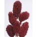 MAGNOLIA PODS Red 16"-OUT OF STOCK